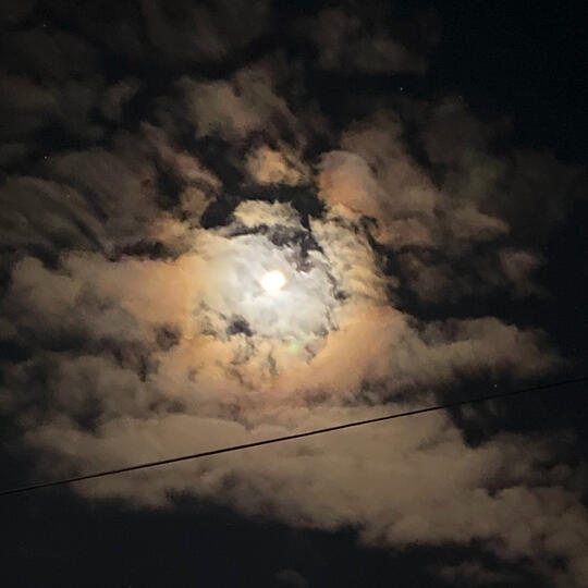 Photo taken by Elias Rowe 2026